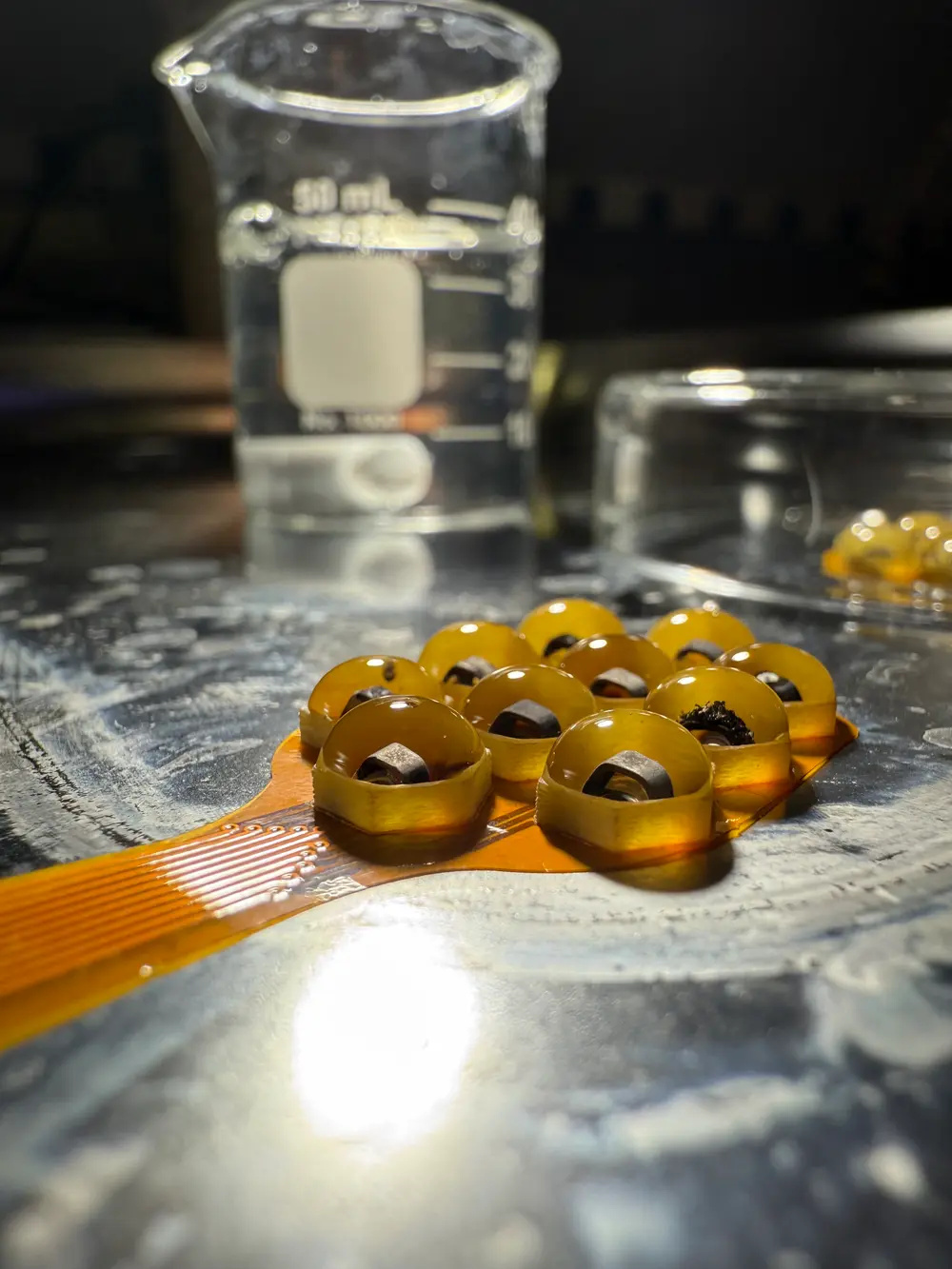 Gel-coated electrode array on a flexible circuit, up close