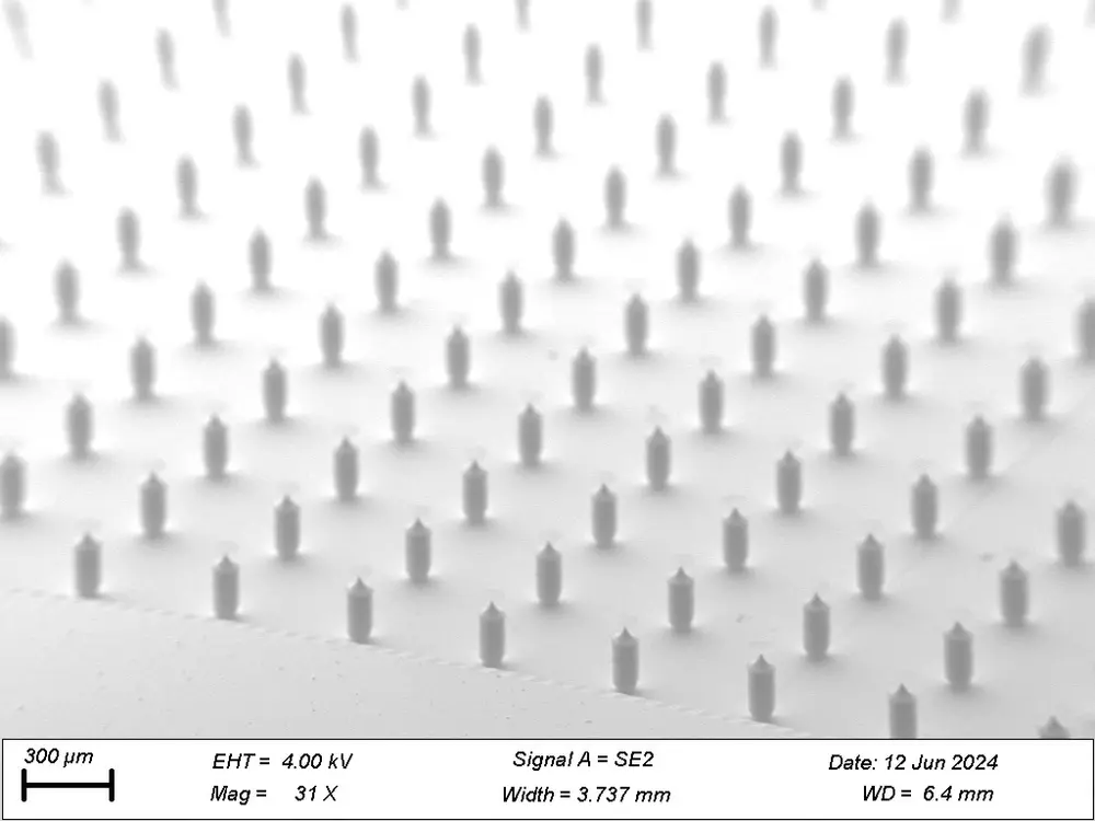 Electron micrograph of a microneedle array at 31x magnification