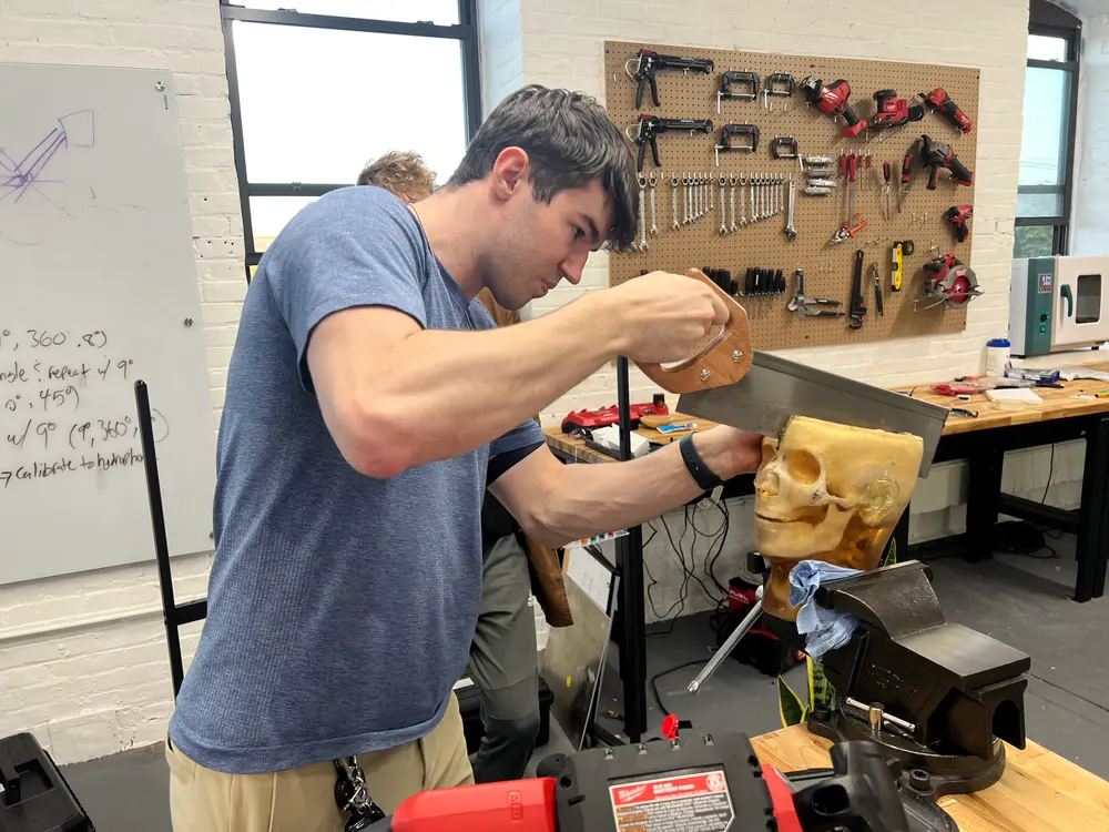 Sawing open a gel skull phantom clamped in a bench vise
